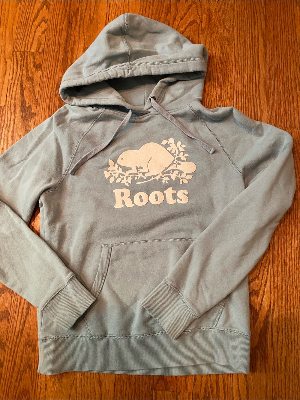 Roots Pale Blue Pullover Hoodie with Beaver Logo